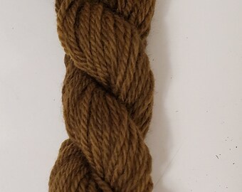 Mushroom Dyed Worsted Wool Mini Skein 40g  - Dark Forest