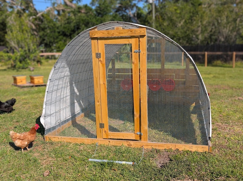 May include: A white and brown chicken coop with a wooden door and a wire mesh enclosure. The coop is surrounded by green grass.