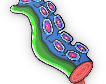 Cosmic Squids - Decorative Custom Tentacle Pillow