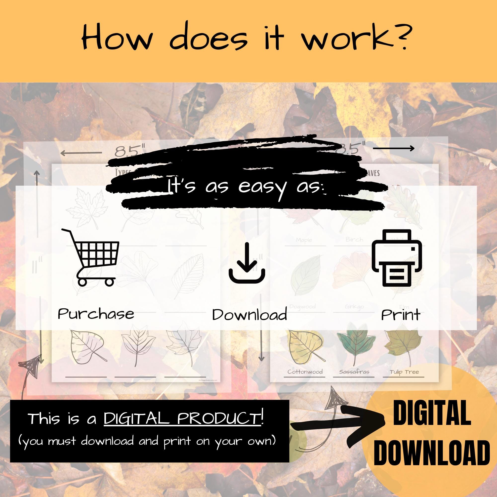 Printable Types Of Leaves Worksheet Leaves Worksheet Fall Activity printable-types-of-leaves-worksheet-leaves-worksheet-fall-activity