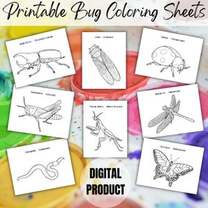 Bug Coloring Sheets, Bug Birthday Activity, Kids Coloring Sheets, Bug Lover Printables, Bug Birthday Party, Digital Download