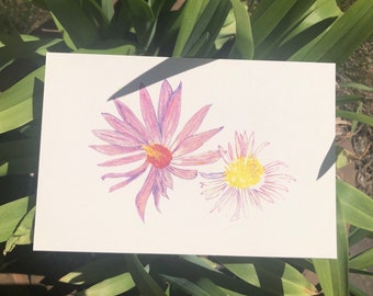 Asters - limited series print of 30. A sweet addition to any room.