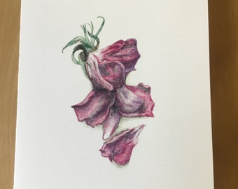 Rose petals - this vibrant drawing printed on 100% recycled paper is perfect for Valentine’s  Day or any message of love.