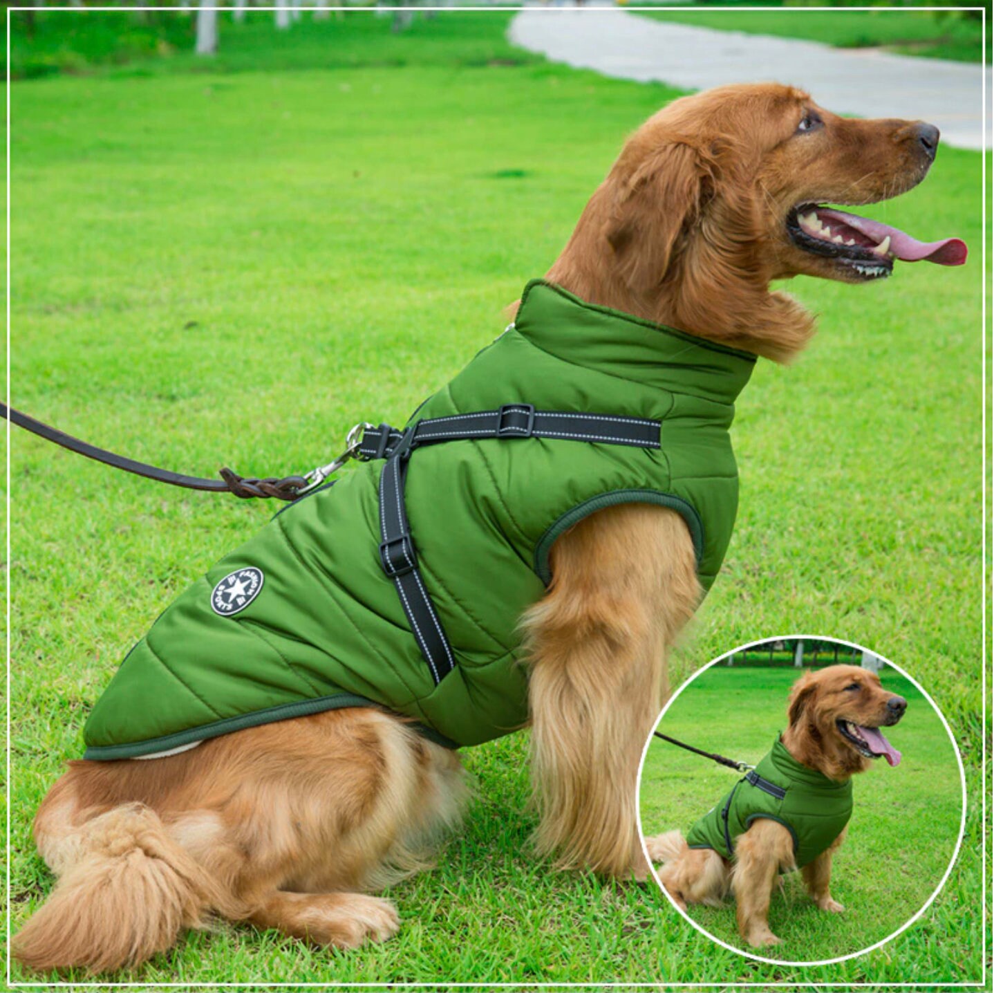 Waterproof Winter Jacket With Builtin Harness for Dogs Cats Etsy UK