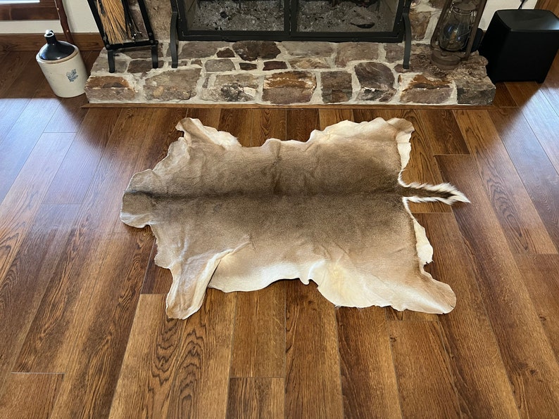 Whitetail Tanned Deer Hide Rug. Great Addition to Your Rustic Decor. Etsy