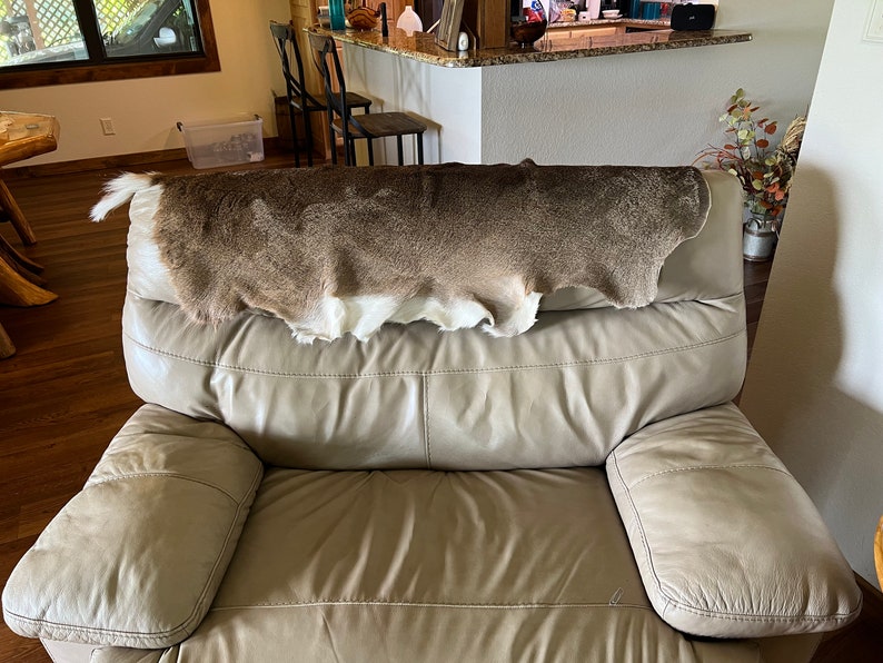 Whitetail Tanned Deer Hide Rug. Great Addition to Your Rustic Decor. Etsy
