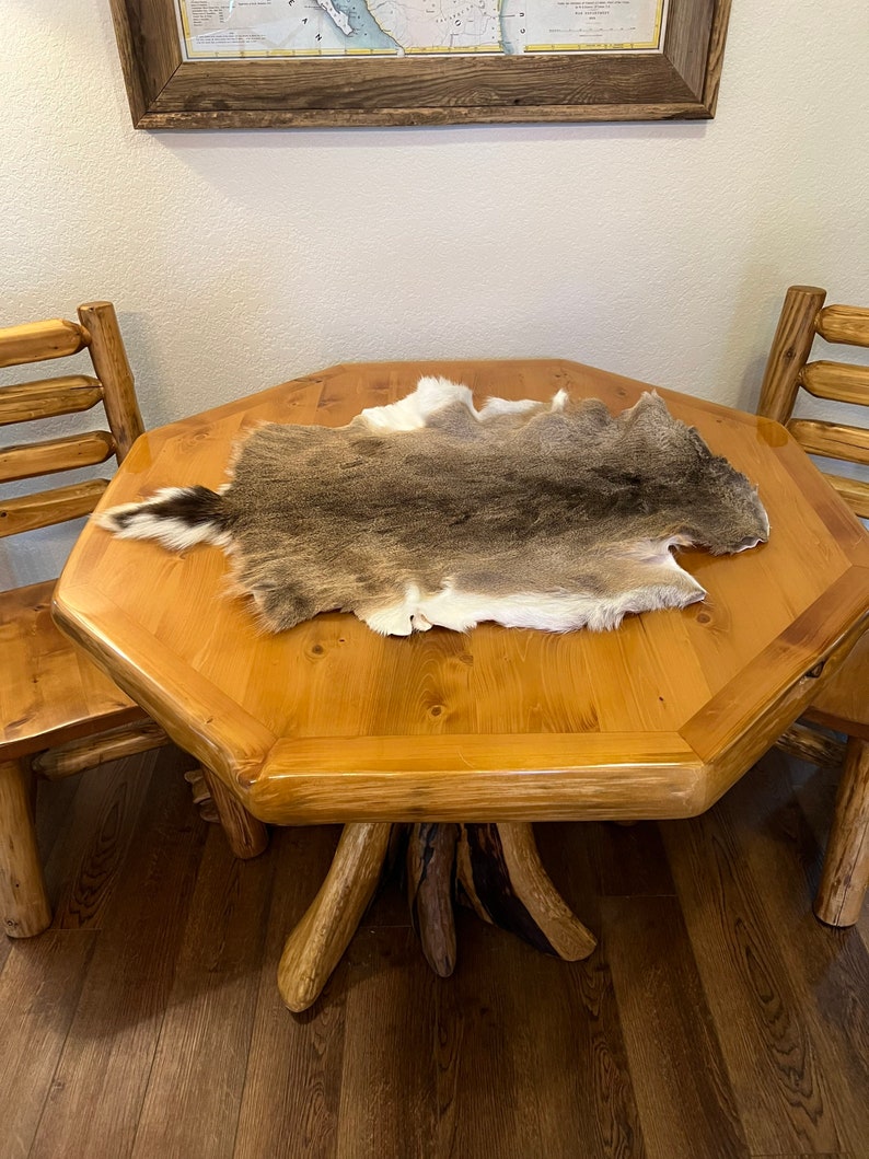 Whitetail Tanned Deer Hide Rug. Great Addition to Your Rustic Decor. Etsy