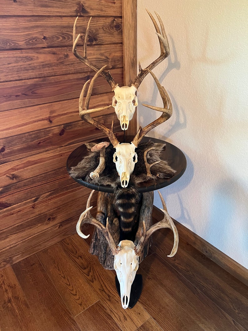 Whitetail Tanned Deer Hide Rug. Great Addition to Your Rustic Decor. Etsy