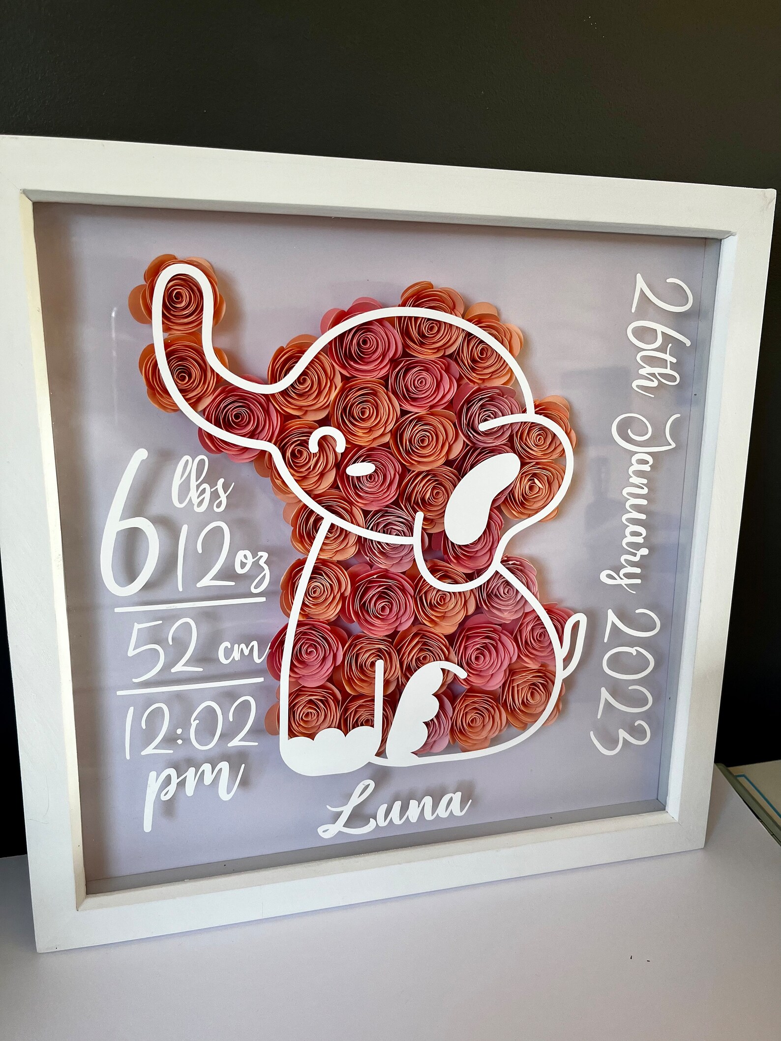 Baby Elephant Shadow Box Frame Etsy