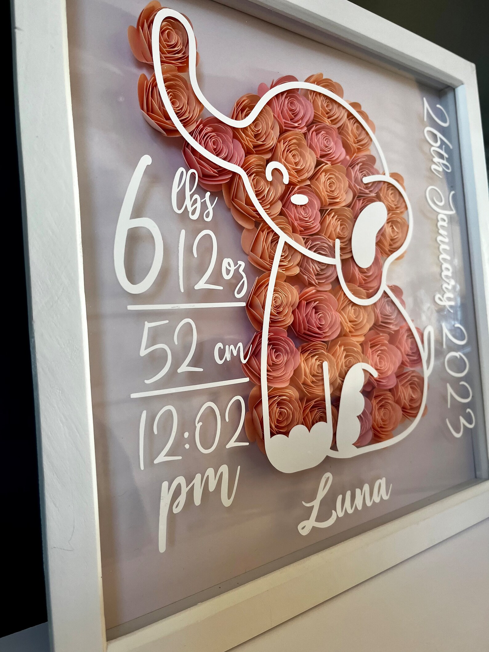 Baby Elephant Shadow Box Frame Etsy