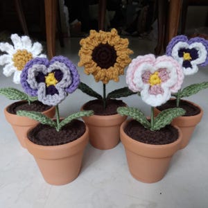 May include: Five crocheted flower pots, each with a different flower. The flowers are a purple pansy, a pink pansy, a white daisy, a yellow sunflower, and another purple pansy. The pots are all brown terracotta.