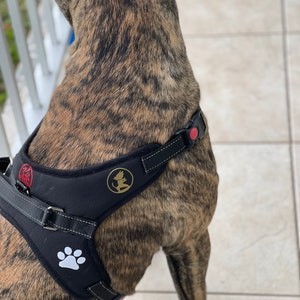 No pulling dog harness that you can have custom