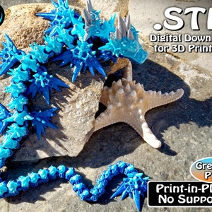 May include: A blue and gray 3D printed dragon model with spikes. The dragon is posed on a rock with a starfish beside it. The text '.STL Digital Download for 3D Printing' is at the top of the image. The text 'Great in PLA Print-in-Place No Supports' is at the bottom of the image.