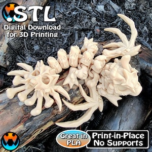 Op de afbeelding: Een 3D-geprint model van een skeletachtig wezen met meerdere ledematen en een schedelvormig hoofd. Het model is geprint in een lichtbeige kleur en is ontworpen om op zijn plaats te worden geprint zonder ondersteuning. De tekst "STL Digitale Download voor 3D-printen" is zichtbaar in de linkerbovenhoek van de afbeelding. De tekst "Geweldig in PLA" is zichtbaar in de linkerbenedenhoek van de afbeelding. De tekst "Print-in-Place Geen ondersteuning" is zichtbaar in de rechterbenedenhoek van de afbeelding.