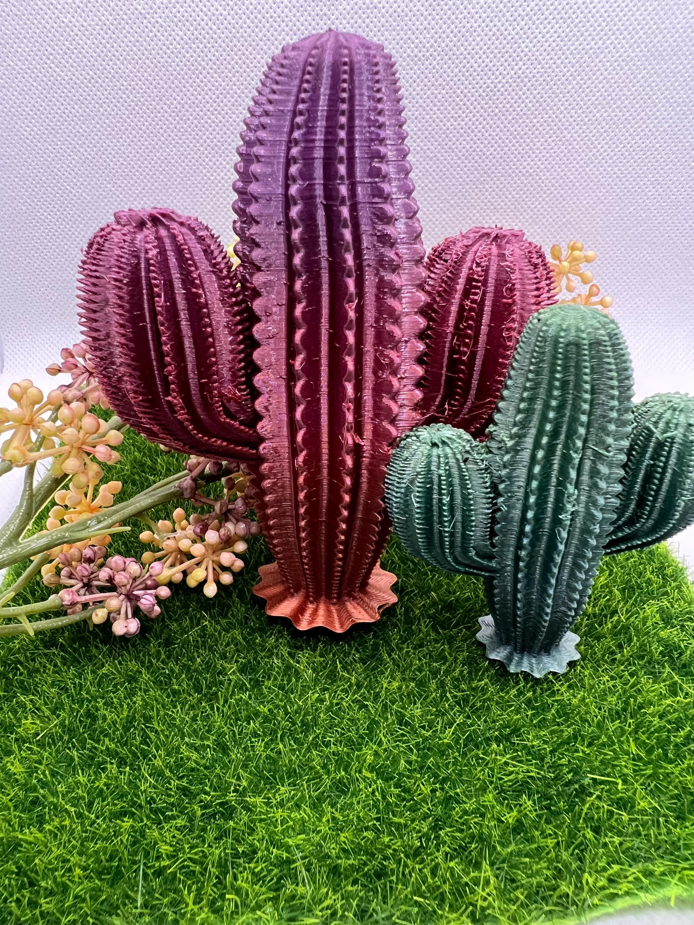 Cactus Home Decor STL - 3D Model Plant Design