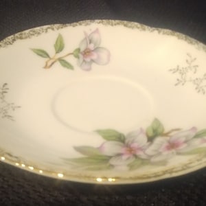 Vintage Porcelain Coffee Saucer White Floral Gold Rim Unmarked 5 1/4&quot; Fine China