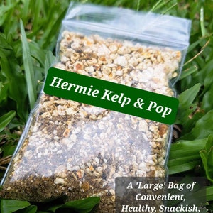 Hermie Care & Diet Brochure Kelp n Pop Leaf Litter Hermie Rose Chips image 9