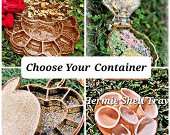 Multi-compartment Container | Hermit Crab Food Container | Resin Shell Tray's