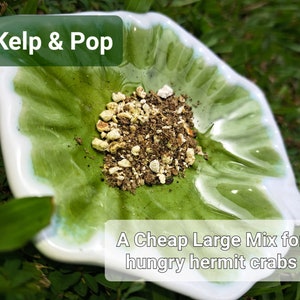 Hermie Care & Diet Brochure Kelp n Pop Leaf Litter Hermie Rose Chips image 8