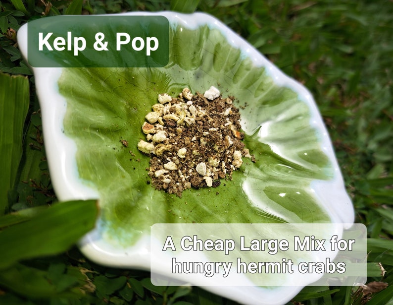 Hermie Care & Diet Brochure Kelp n Pop Leaf Litter Hermie Rose Chips image 8