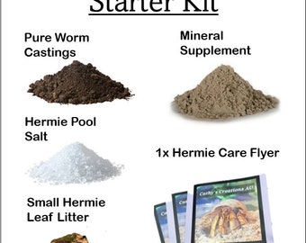 Hermit Crab Starter Kit -Small, Large, Medium.