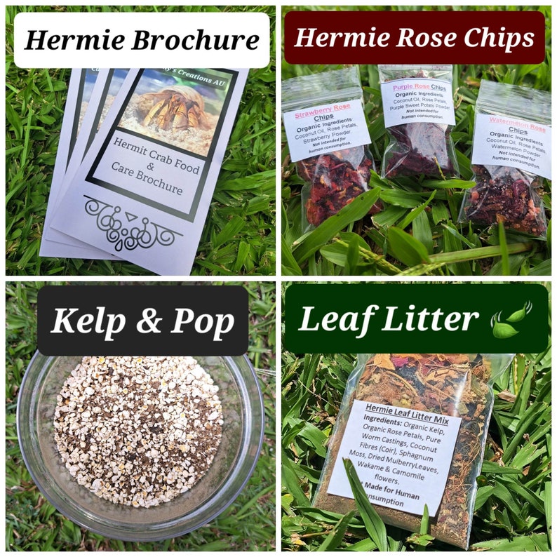 Hermie Care & Diet Brochure Kelp n Pop Leaf Litter Hermie Rose Chips image 1