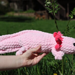 K&ouml;nnte beinhalten: Ein rosa geh&auml;keltes Axolotl-Pl&uuml;schtier mit roten, gefiederten Kiemen. Das Spielzeug wird von einer Hand vor einem gr&uuml;nen grasbewachsenen Hintergrund gehalten.