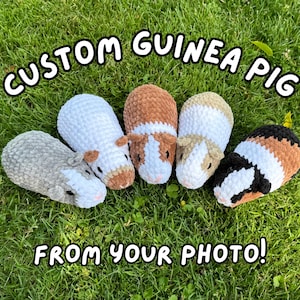 May include: Five handmade crochet guinea pigs in various colors, including white, brown, and gray, are arranged on green grass. The text "CUSTOM GUINEA PIG FROM YOUR PHOTO!" is displayed above and below the guinea pigs.