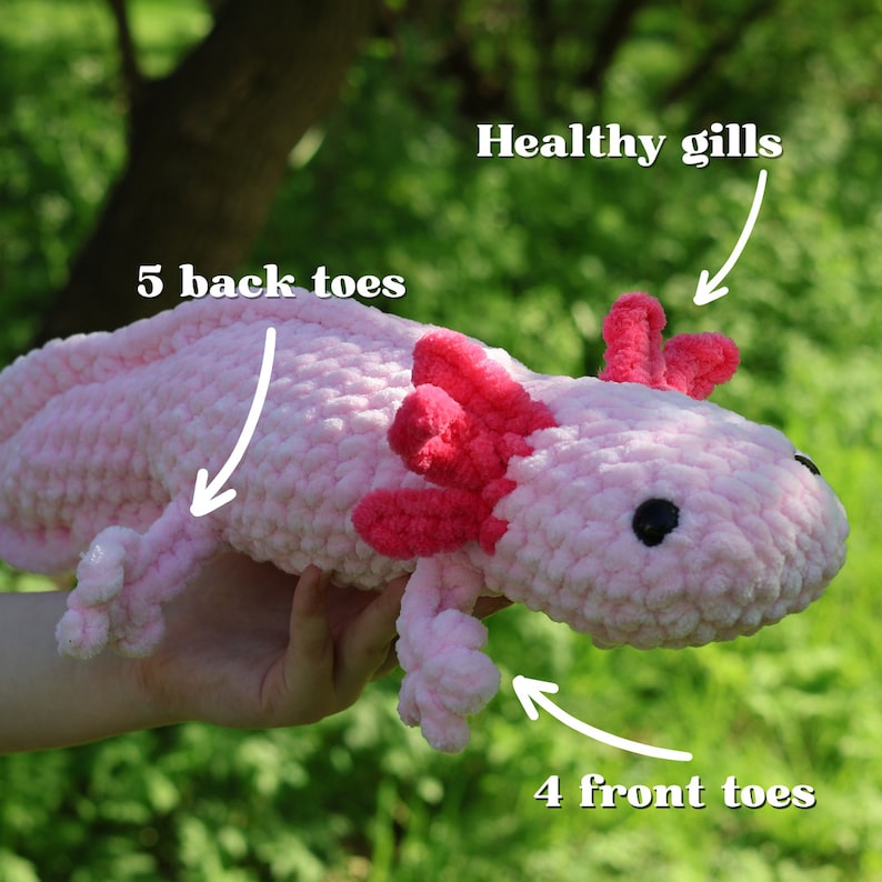 K&ouml;nnte beinhalten: Rosa geh&auml;keltes Axolotl-Pl&uuml;schtier mit roten Kiemen, 5 Zehen hinten und 4 Zehen vorne.
