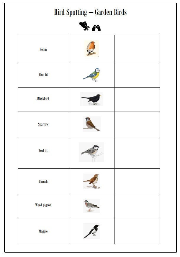 Printable Bird Spotting Chart Etsy