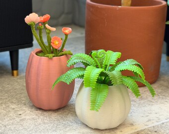 May include: Two small, ribbed, pumpkin-shaped planters. The left planter is dusty rose and holds a cluster of thin, green stems topped with small, orange and peach-colored flowers. The right planter is off-white and contains a bright green fern.