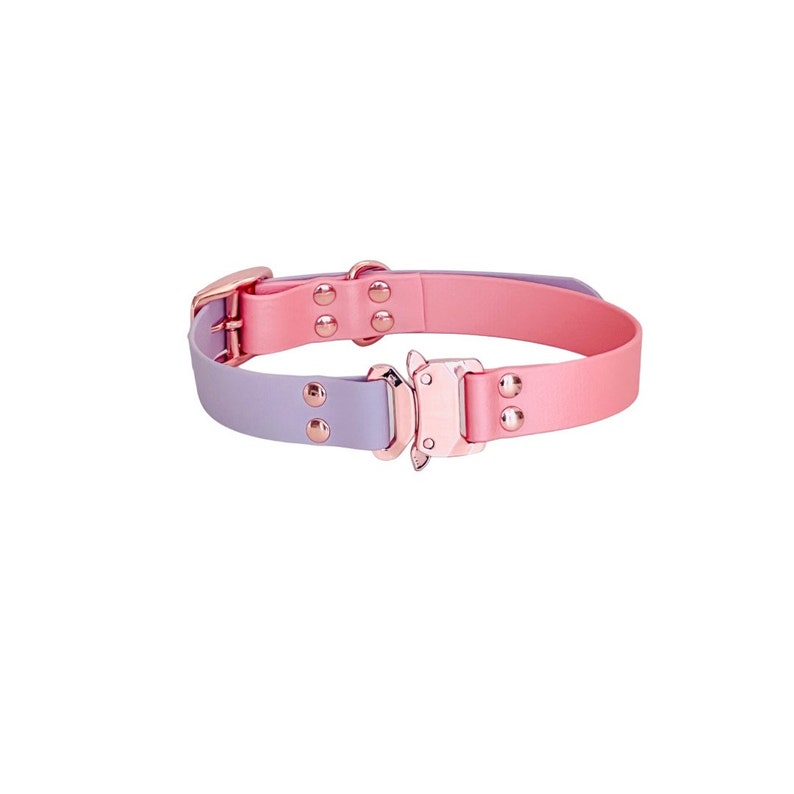 May include: A pink and lavender dog collar with rose gold hardware and a buckle closure.