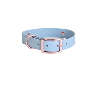 May include: A light blue dog collar with a rose gold buckle and D-ring.