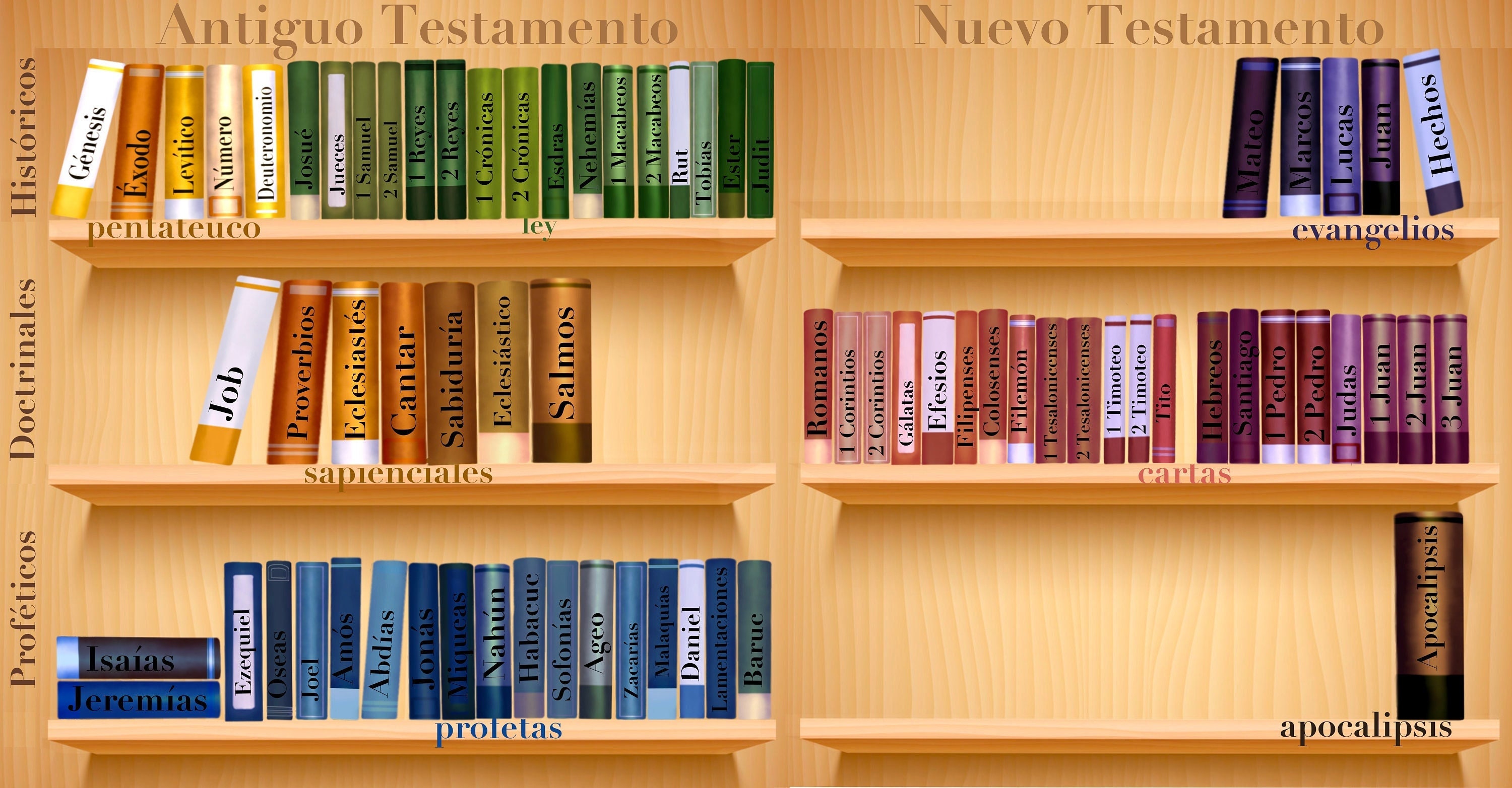 73 libros de la Biblia Católica Glossy Matte Etsy México 73 libros de la Biblia Católica Glossy Matte Etsy México