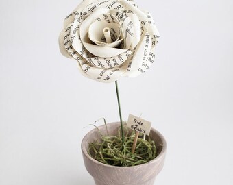 Puede incluir: Una rosa de papel hecha con páginas de libro en una maceta pequeña. La maceta está llena de musgo verde y tiene un letrero que dice "Pride + Prejudice". La rosa es blanca con texto visible.