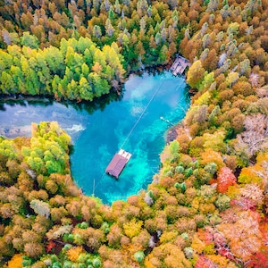 May include: An aerial view of a small, clear blue lake surrounded by a forest of trees with vibrant fall foliage. The trees are a mix of yellow, orange, and red. A small wooden dock is visible on the lake.