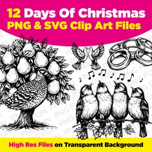 Twelve Days of Christmas Clipart PNG | 12 Days of Christmas SVG | 12 Days of Christmas Clip Art | Digital Download | Commercial License