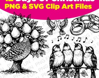 Twelve Days of Christmas Clipart PNG | 12 Days of Christmas SVG | 12 Days of Christmas Clip Art | Digital Download | Commercial License
