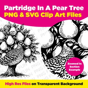 Partridge In A Pear Tree Clipart from Twelve Days of Christmas | High res PNG and SVG Vector Files | Commercial License | Instant Download