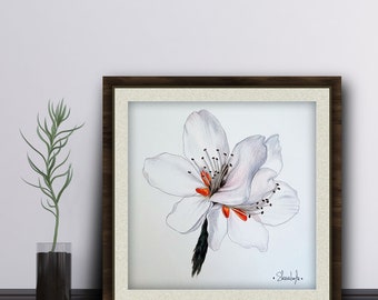 Originalillustration der Kirschblüte in Aquarell und Buntstiften