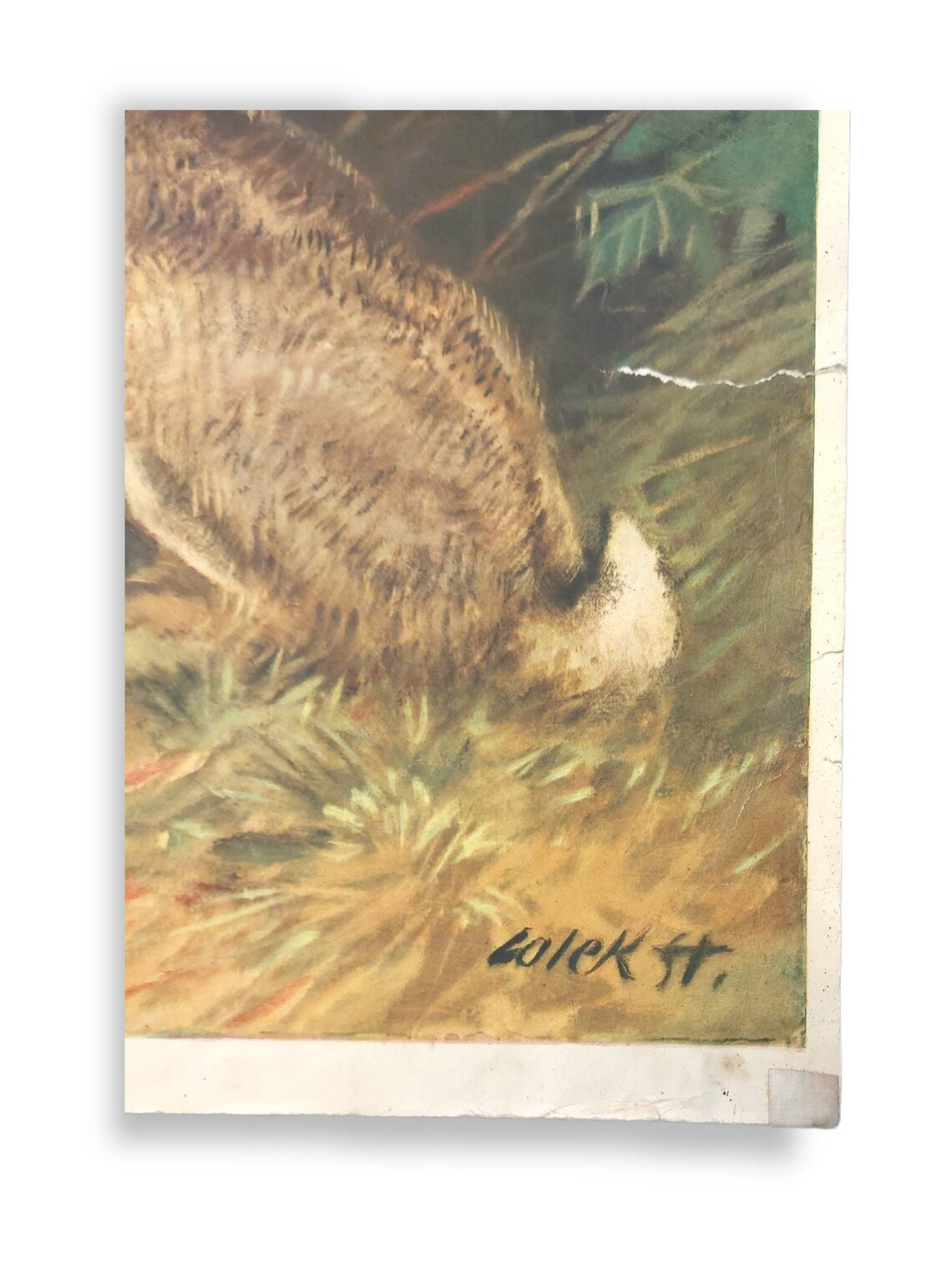 Vintage RABBIT School Poster / Lithography / Art | Etsy