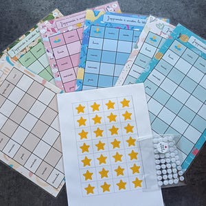 May include: A set of colorful printable charts with the text "J'apprends à arrêter la tétine" and a grid of squares. There is also a sheet of gold star stickers and a bag of white round stickers.