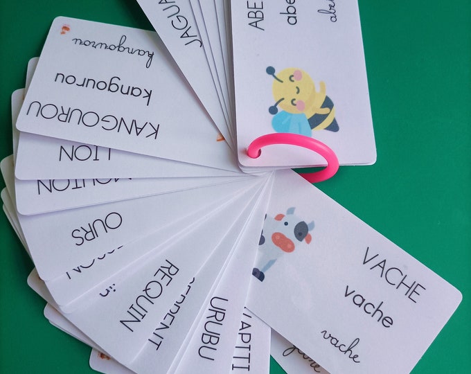 Nomenclature - ABC animals