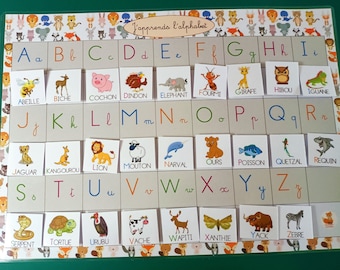 Alphabet