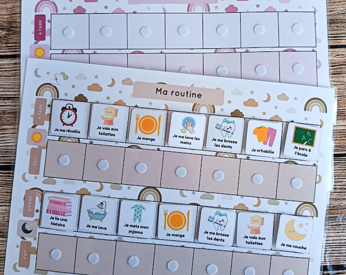 Daily Routine (My Routine)