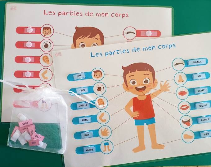 Body parts
