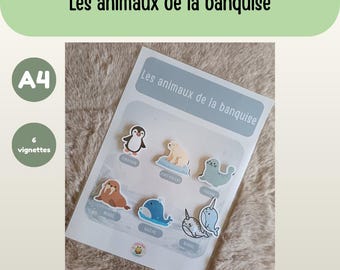 A4 Sheet - Animals of the Arctic