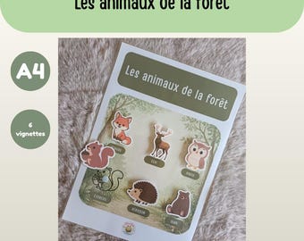 A4 Sheet - Forest Animals