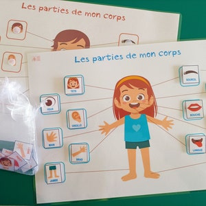 Partes del cuerpo