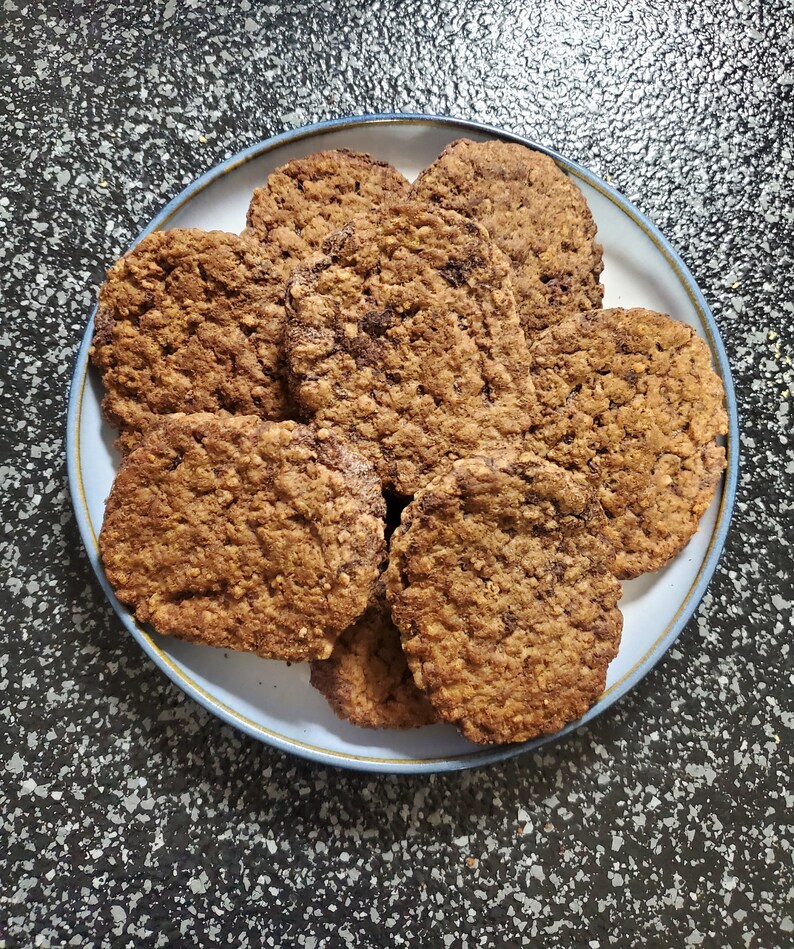 Freezedried Burger Patties, Freeze Dried Meat, Freeze Dried Food